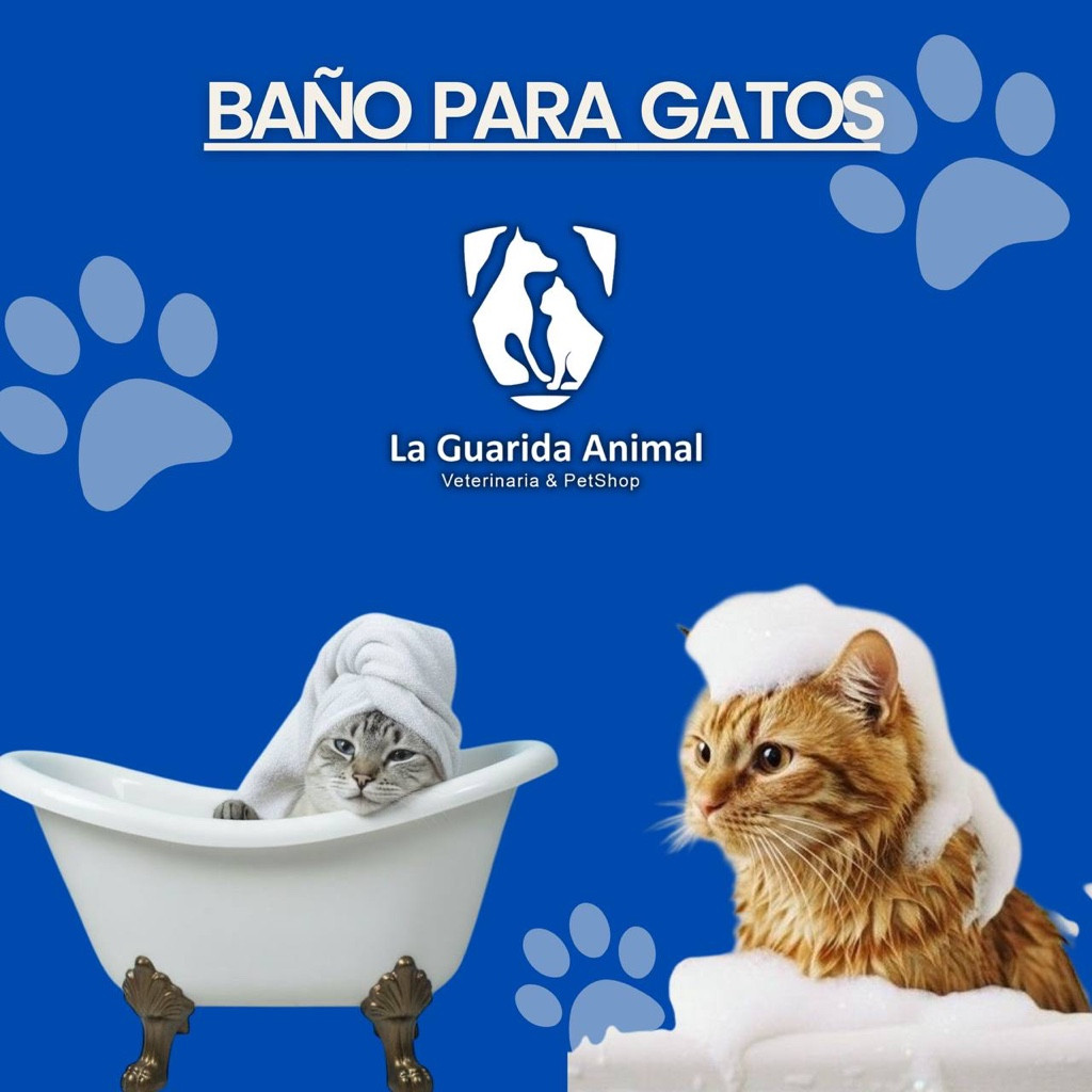 Imagen 1 de Baño Para Gatos