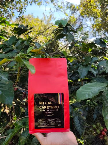 Imagen 1 de 500 gr de café variedad castillo ( molido o en grano)