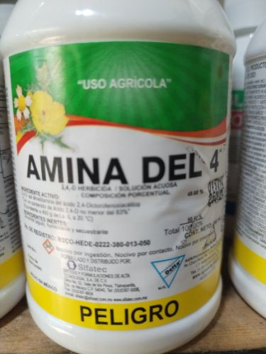 Imagen 1 de Amina del 4