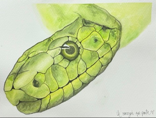 Imagen 1 de Clase de acuarela