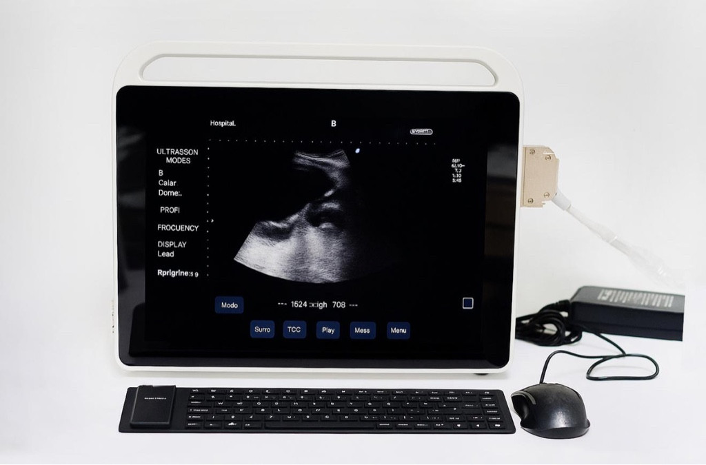 Imagen 1 de Ecografo Touch Blanco y Negro S800 con dos traductores