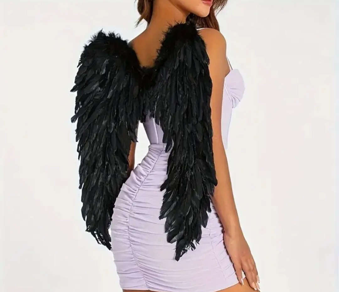 Imagen 1 de ALAS DE ANGEL NEGRO