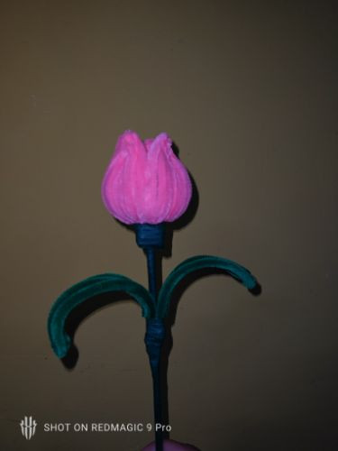 Imagen 1 de Tulipanes rosados