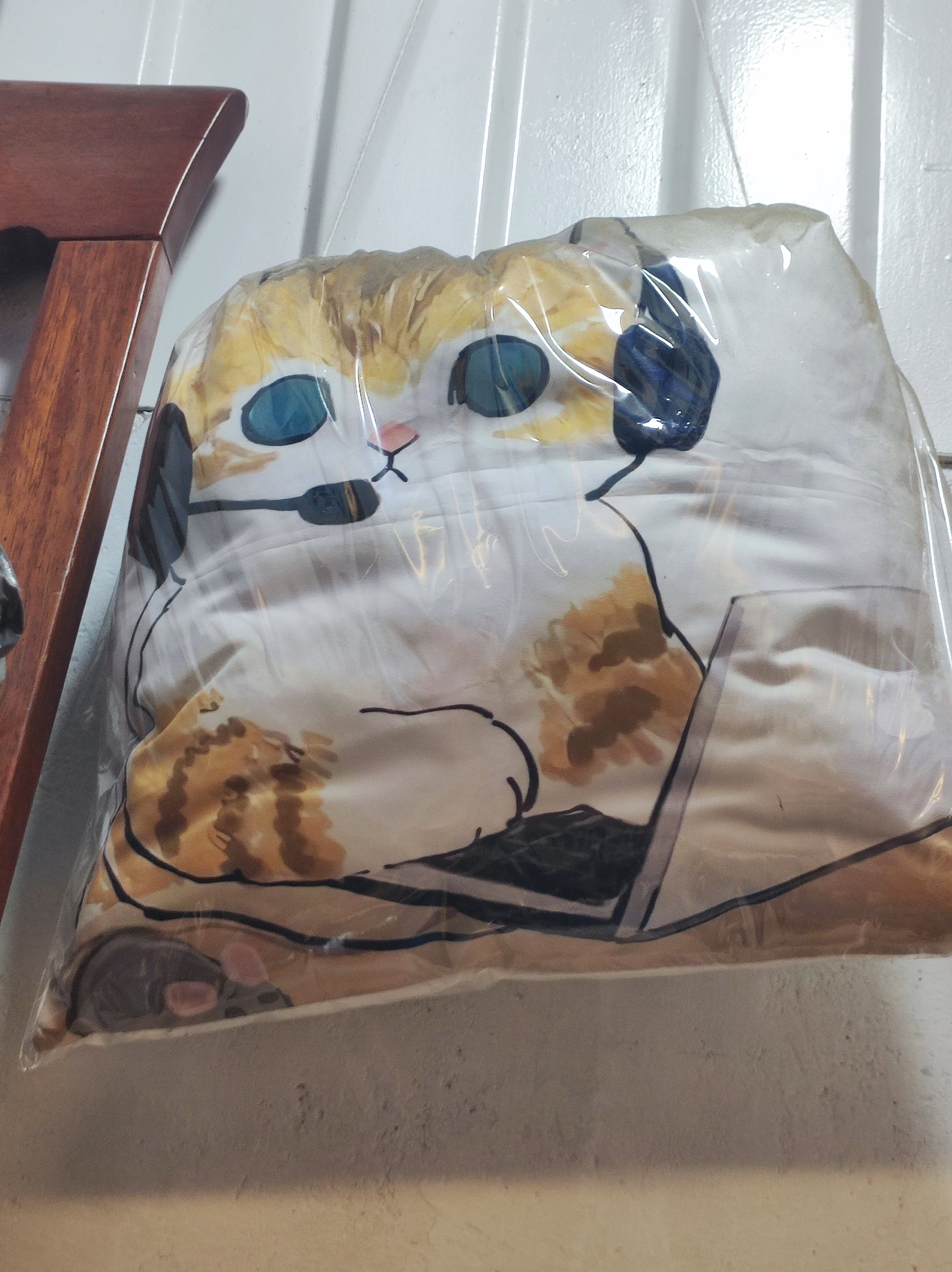 Imagen 1 de Almohada gato oficina 1
