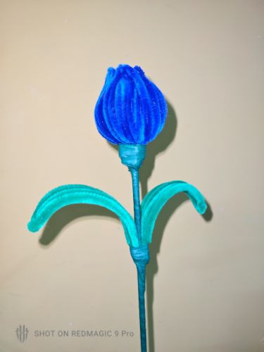 Imagen 1 de Tulipan azul