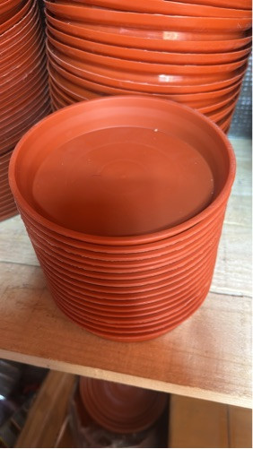 Imagen 1 de 21 cm plato