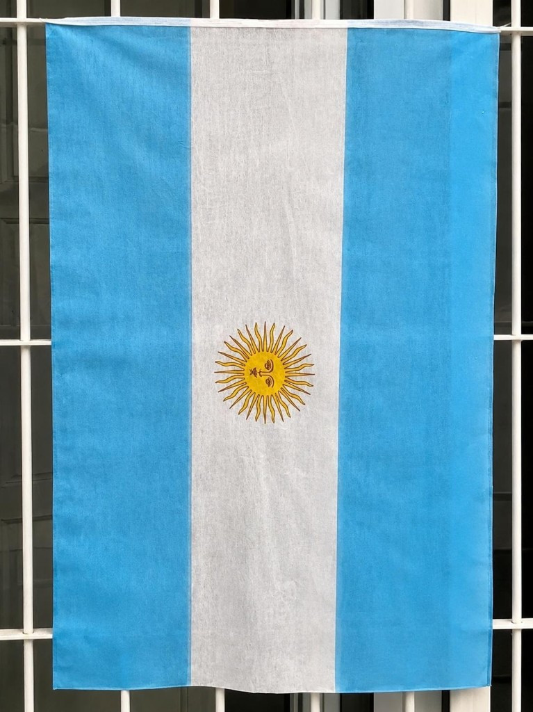 Imagen 1 de Bandera Mundial