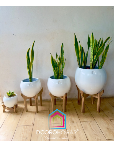 Imagen 1 de A. Macetera Esférica