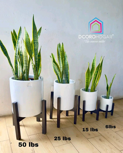 Imagen 1 de A. Macetera Cilindrica