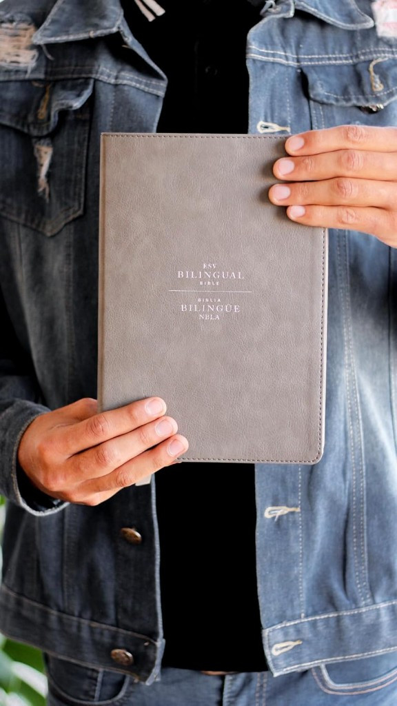 Imagen 1 de Biblia Bilingüe ESV/NBLA Imitación Piel
