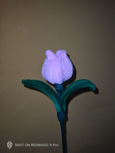 Imagen 1 de Tulipanes lila