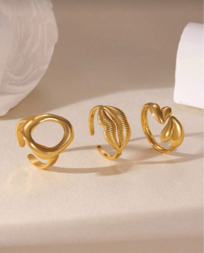 Imagen 1 de Anillos 004