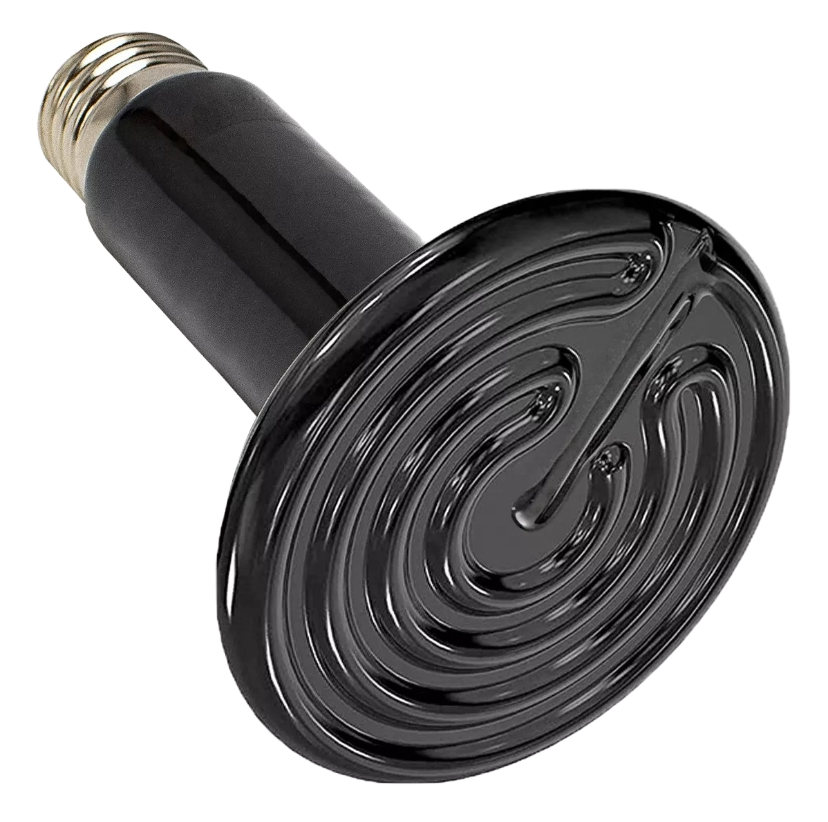 Imagen 1 de Ampolleta de ceramica 100W | Plumitas y Plumas