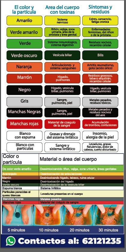 Imagen 1 de Desintoxicación iónica a través de los pies