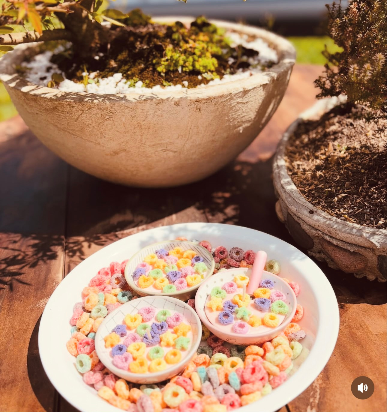 Imagen 1 de FRUIT LOOPS PEQUEÑO