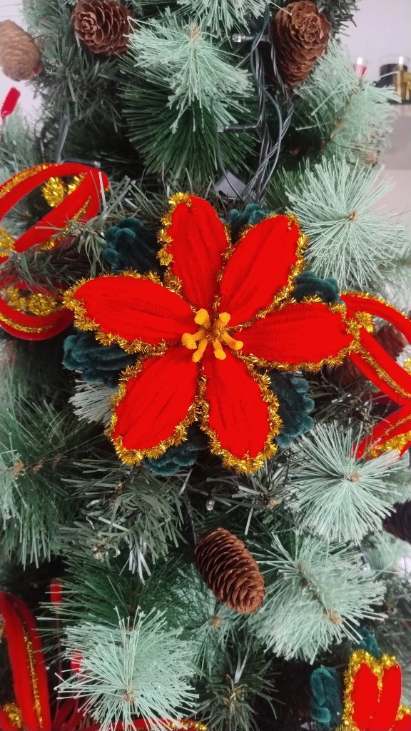Imagen 1 de Noche Buena