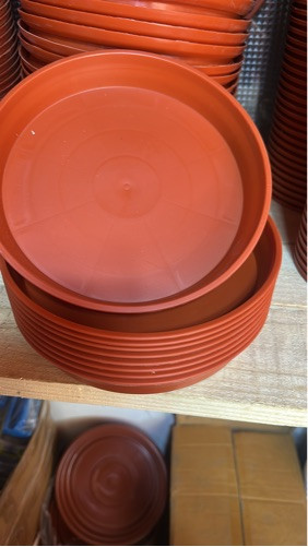 Imagen 1 de 25 cm plato