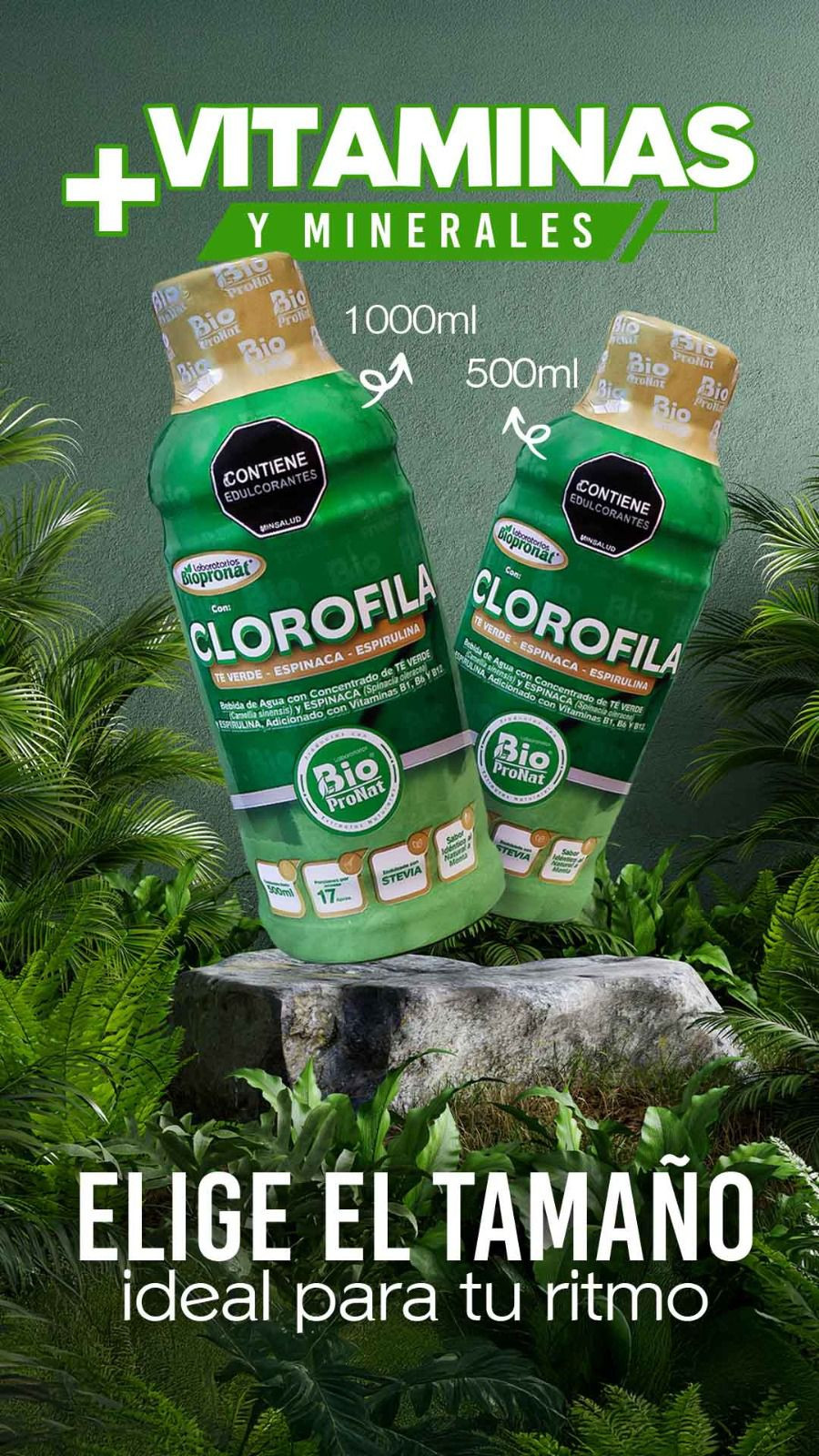 Imagen 1 de Bio Clorofila 1000ml