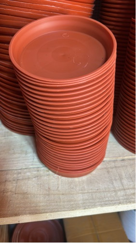 Imagen 1 de 17 cm plato