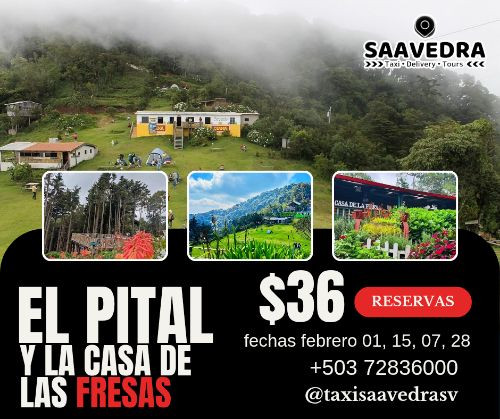 Imagen 1 de Pital28feb +Casa de las flores