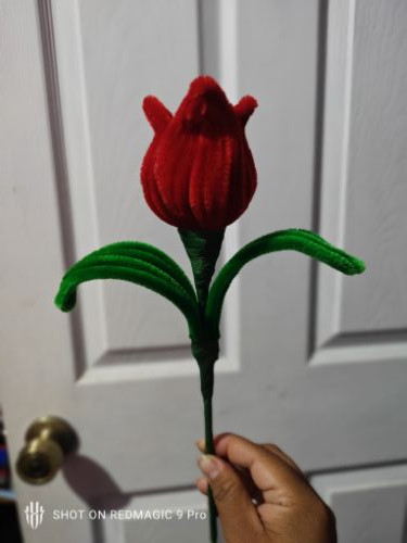 Imagen 1 de Tulipan rojo