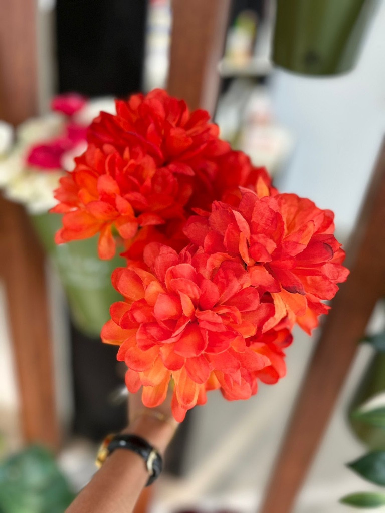 Imagen 1 de HG-AP010 Flores mamein