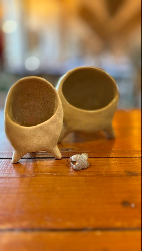 Imagen 1 de Alajeros x 2