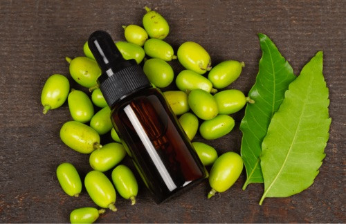 Imagen 1 de Aceite de Neem