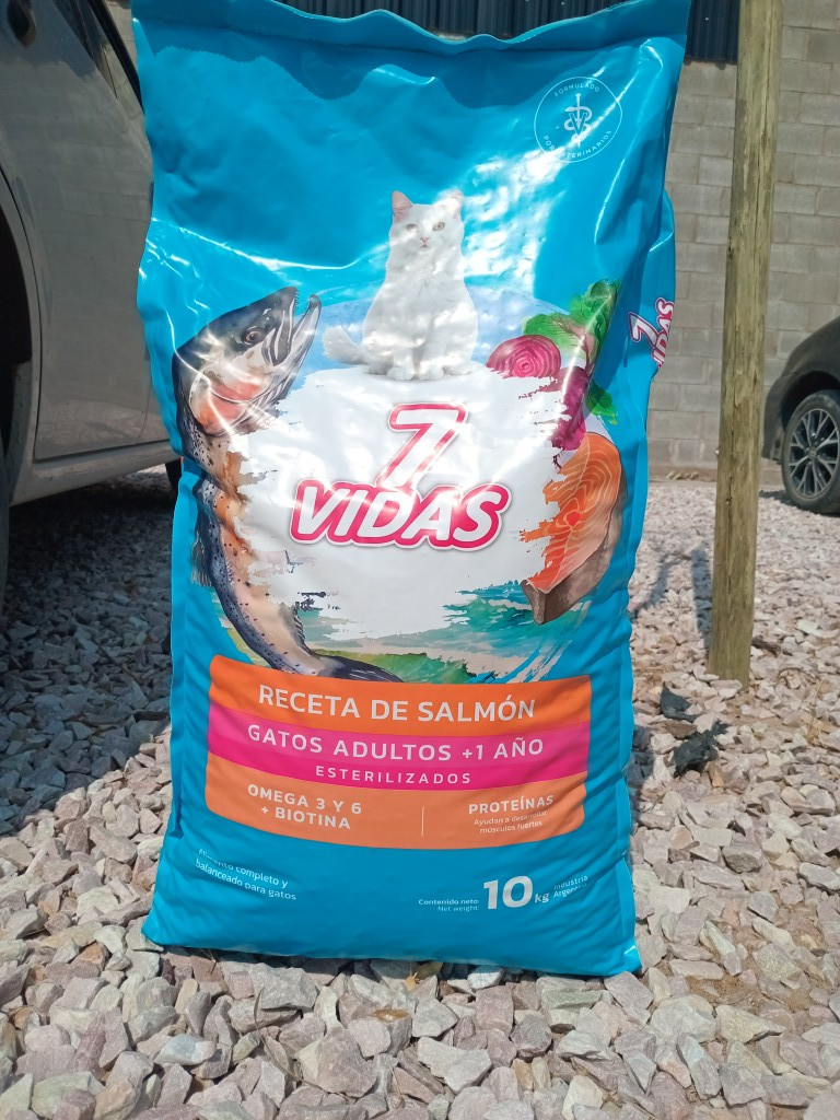 Imagen 1 de 7 vidas salmón 10kg