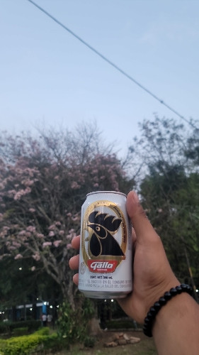 Imagen 1 de Cerveza simple