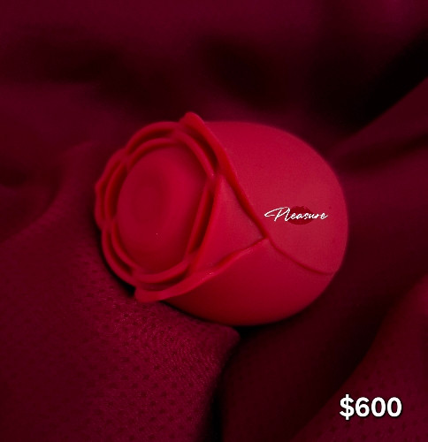 Imagen 1 de 0005 Rosa Aurora