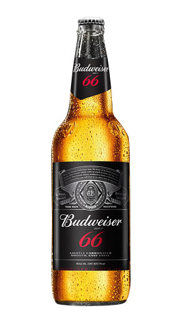 Imagen 1 de Bud 66 retornable 710 x12