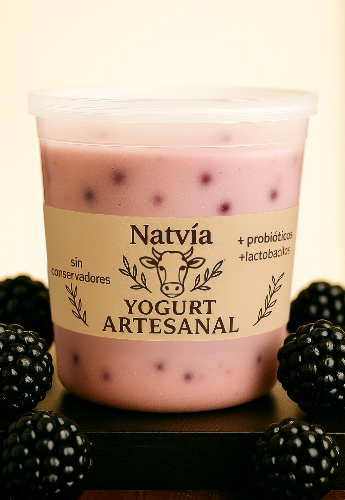 Imagen 1 de Yogurth sabor Zarzamora