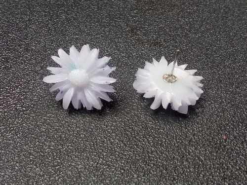 Imagen 1 de Jardin místico