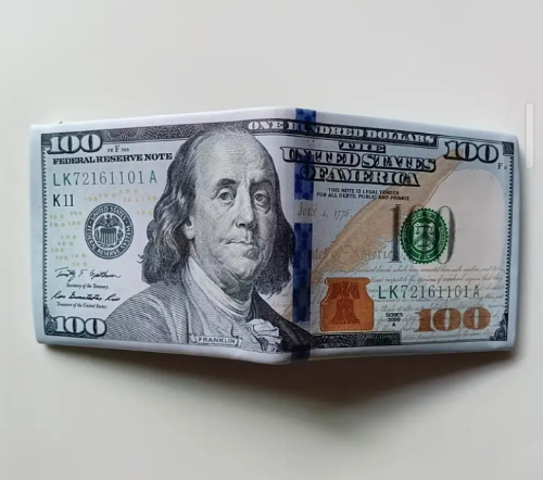 Imagen 1 de Billetera 100 dollars