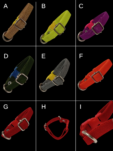 Imagen 1 de Collar de colores elástico resistente