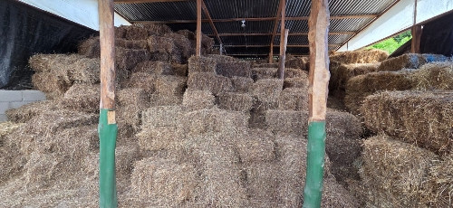 Imagen 1 de HENO en Paca