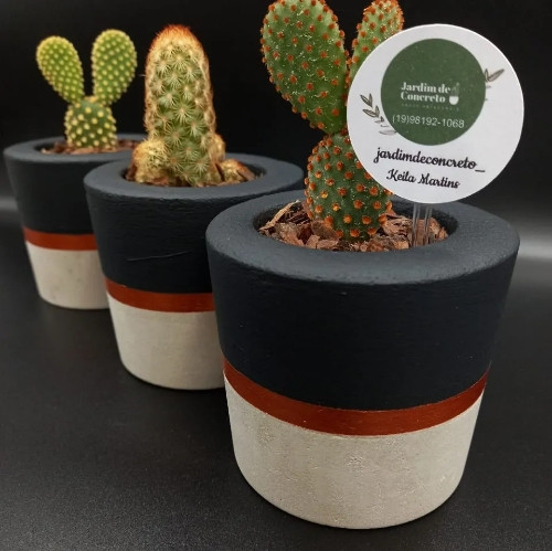Imagem 1 de Vaso   suculentas 6cm