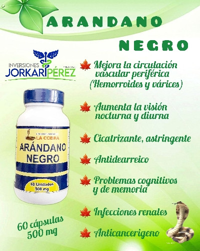 Imagen 1 de ARÁNDANO NEGRO 60 cápsulas