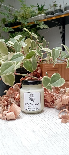 Imagen 1 de Cremoso Ajo 110gr