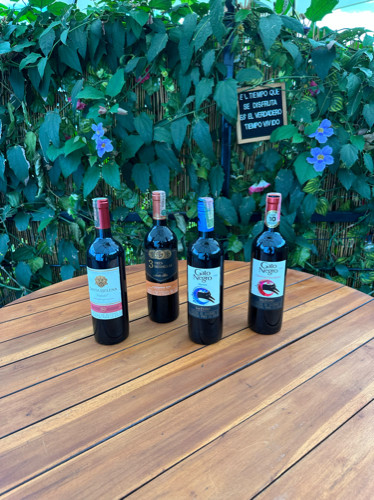 Imagen 1 de Botella Vino