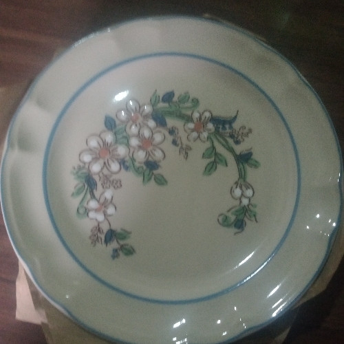 Imagen 1 de  6 Platos  soperos victoria marca Santa Anita. 