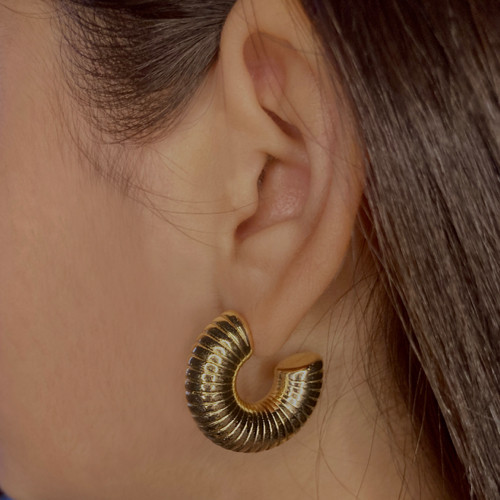 Imagen 1 de Aros donut caracol