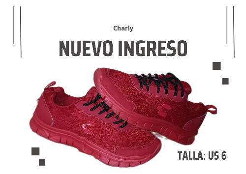 Imagen 1 de Charly confort 