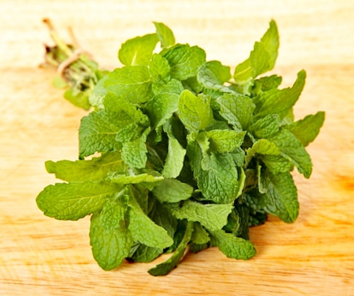 Imagen 1 de ALBAHACA LIMÓN