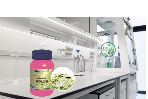 Imagen 1 de BOLDO 500 mg.