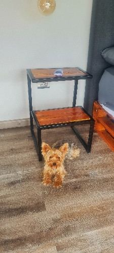 Imagen 1 de Alojamiento Mascota (Pequeña)