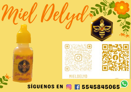 Imagen 1 de Gotas oftalmicas de miel melipona