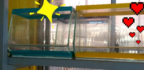 Imagem 1 de Aquário Médio