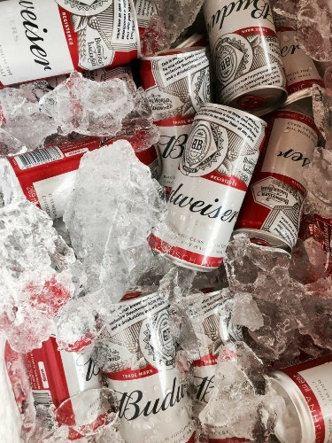 Imagen 1 de Caja Budweiser x24 Unidades 269ml